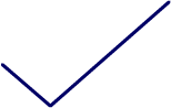 A checkmark made with line art in navy blue