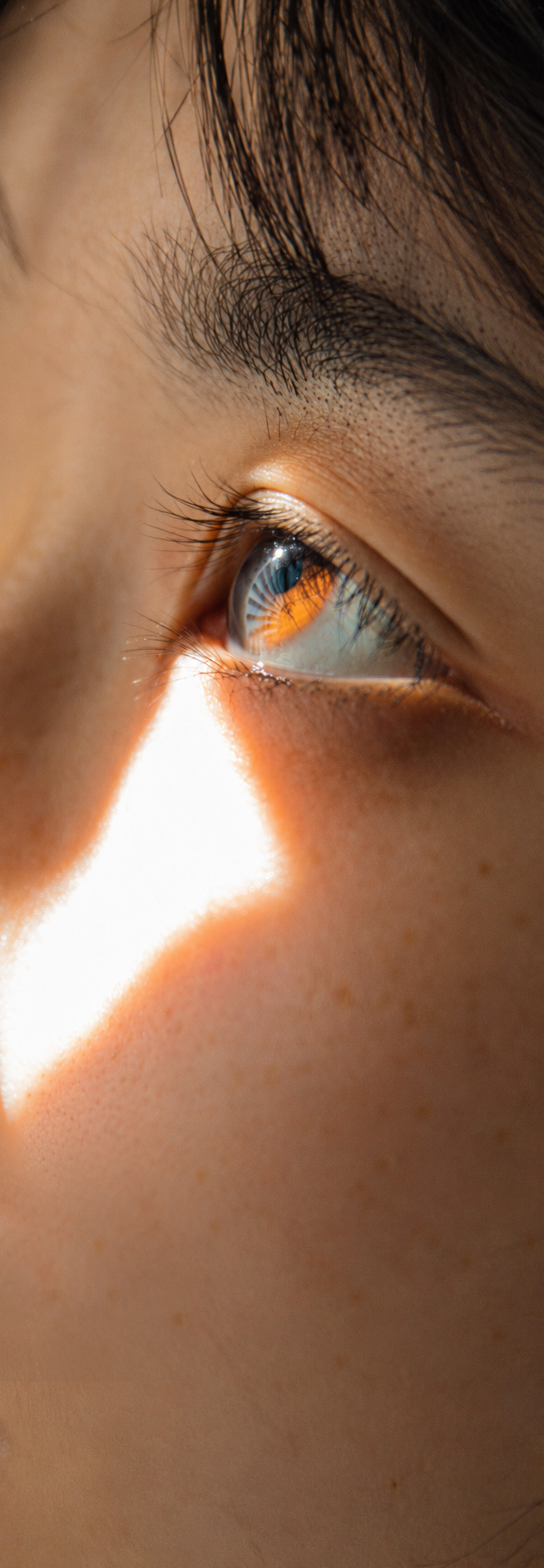 image-woman-brown-eye-detail Image showing a close-up of a woman's eye